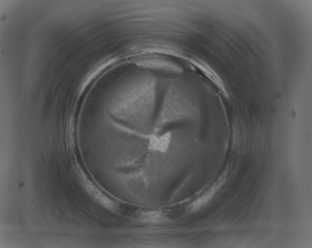 X0000081470798200701121418