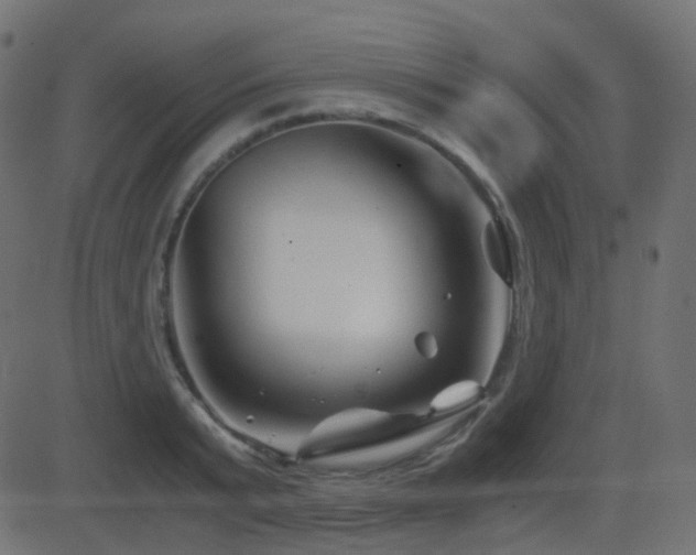 X0000081470799200701121418