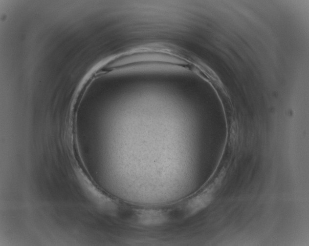 X0000081470800200701121418