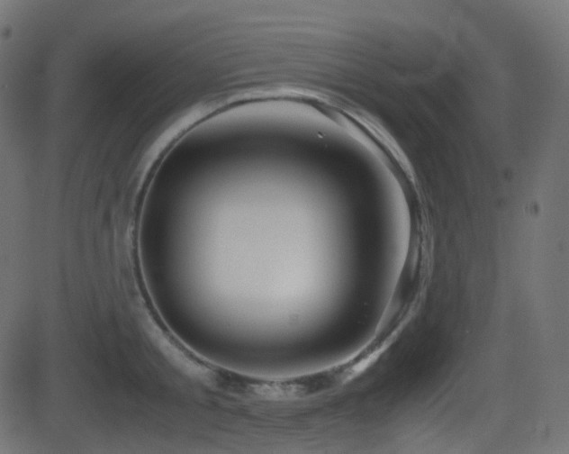 X0000081470805200701121418
