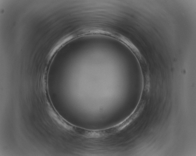 X0000081470806200701121418