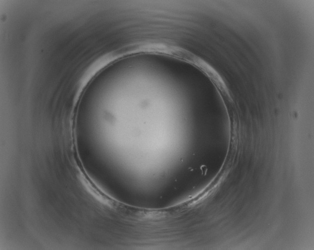 X0000081470808200701121417