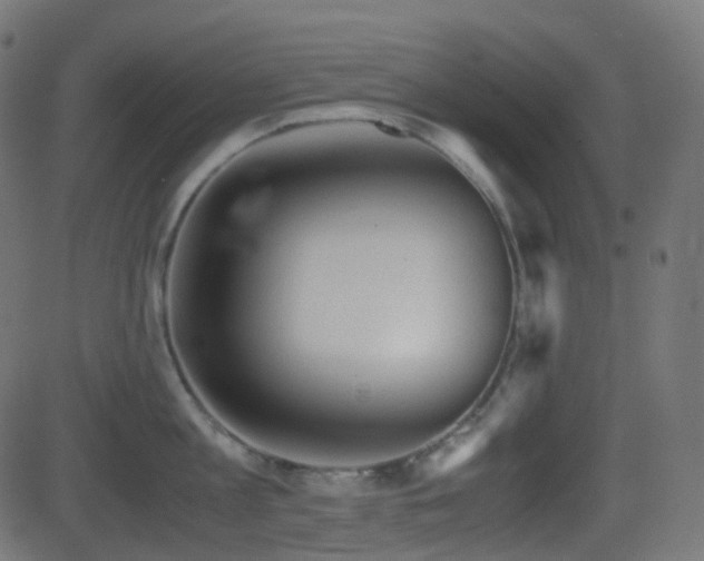 X0000081470813200701121417