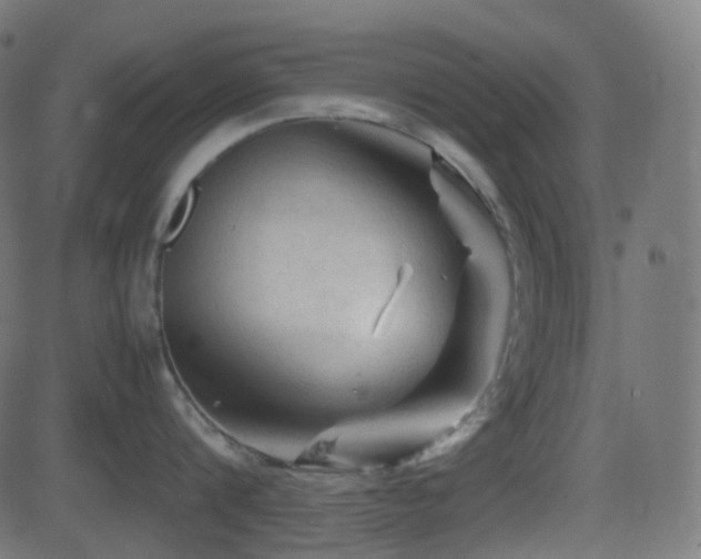 X0000081470816200701121417