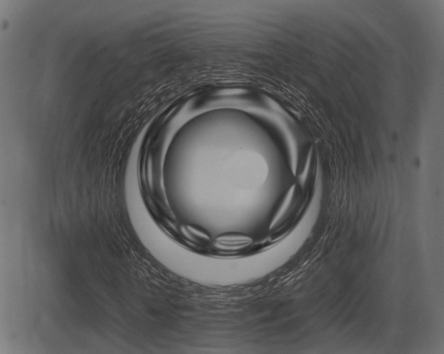 X0000081470818200701121417