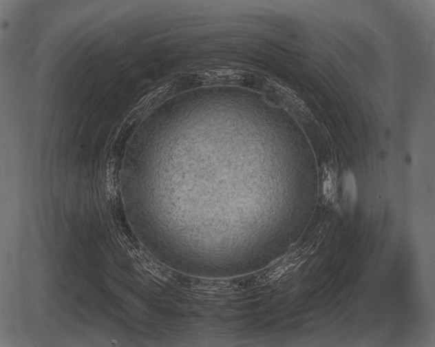 X0000081470819200701121417