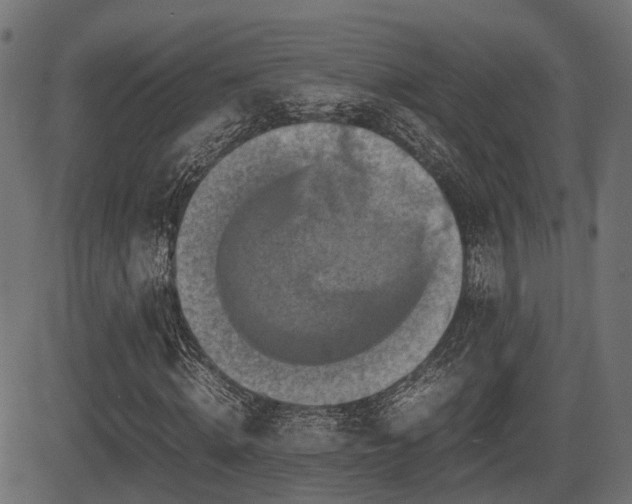 X0000081470820200701121417