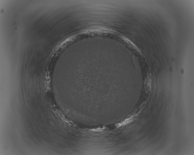 X0000081470822200701121417