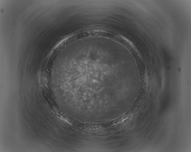 X0000081470823200701121417