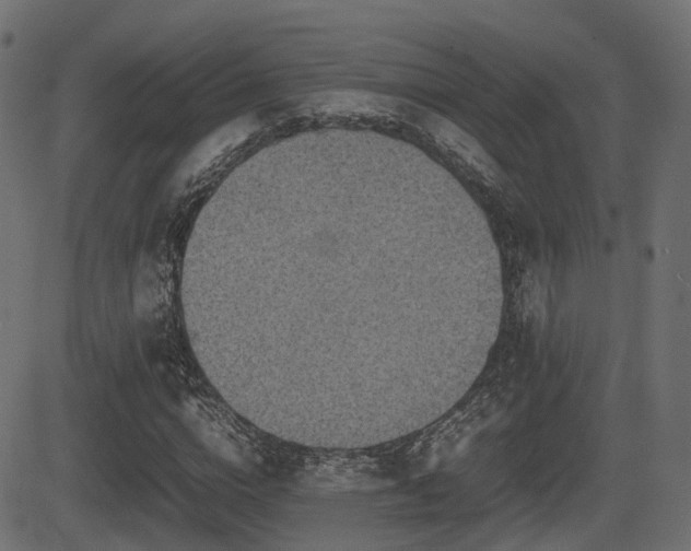 X0000081470824200701121417