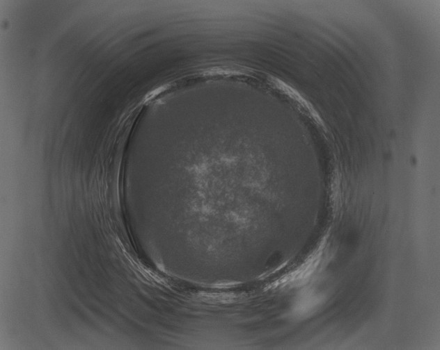 X0000081470825200701121417