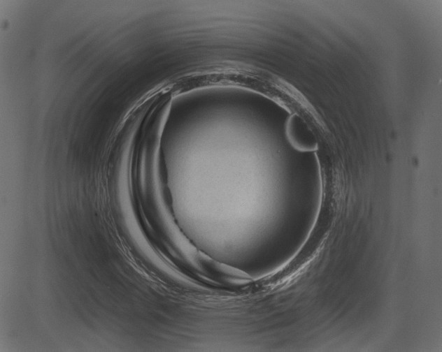 X0000081470826200701121417