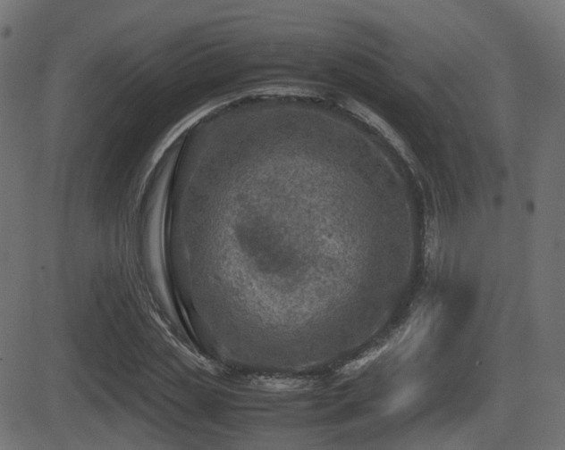 X0000081470829200701121417