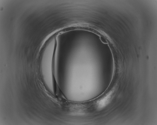 X0000081470830200701121417