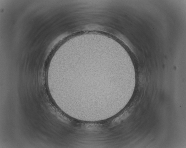 X0000081470832200701121417