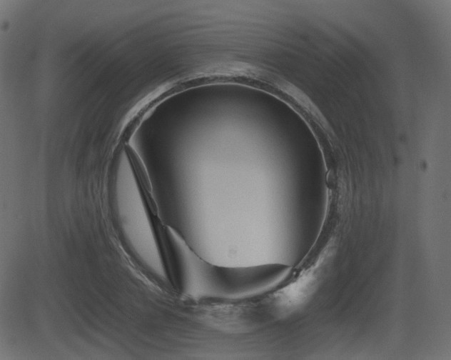 X0000081470834200701121417