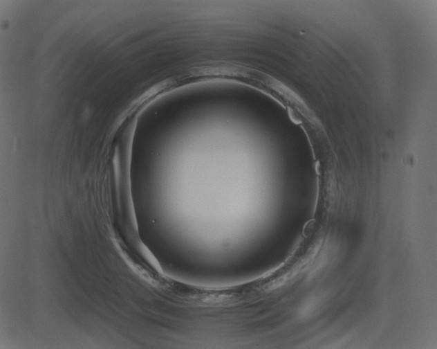 X0000081470841200701121417