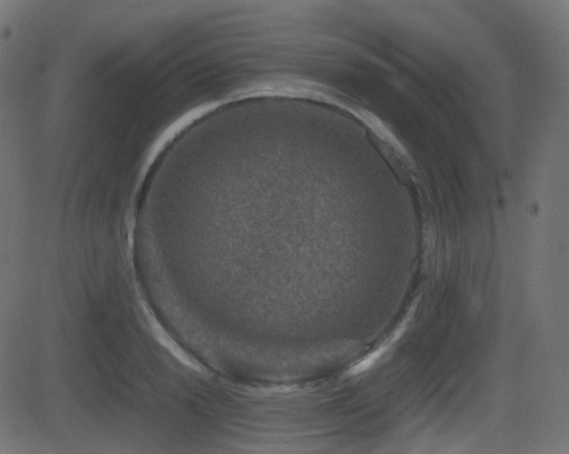 X0000081470846200701121417