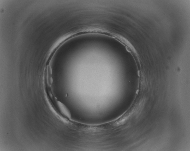 X0000081470847200701121417