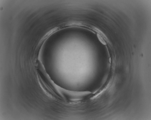 X0000081470849200701121417