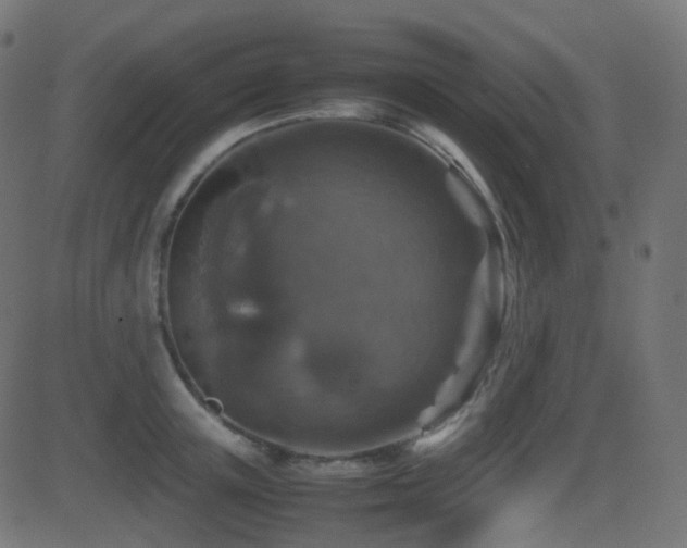 X0000081470851200701121417