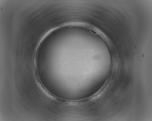 X0000081470852200701121417