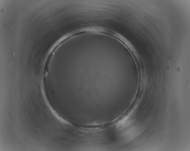 X0000081470853200701121417