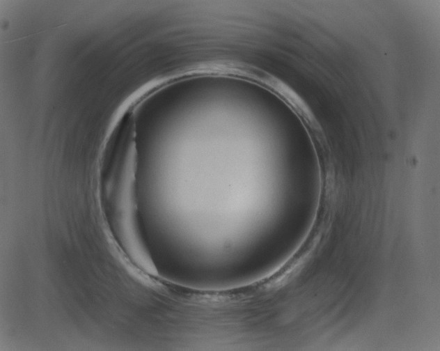 X0000081470854200701121417