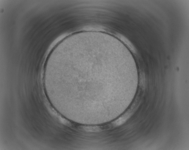 X0000081470856200701121417