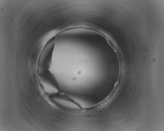 X0000081470858200701121417