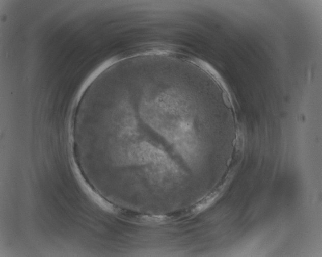 X0000081470859200701121417