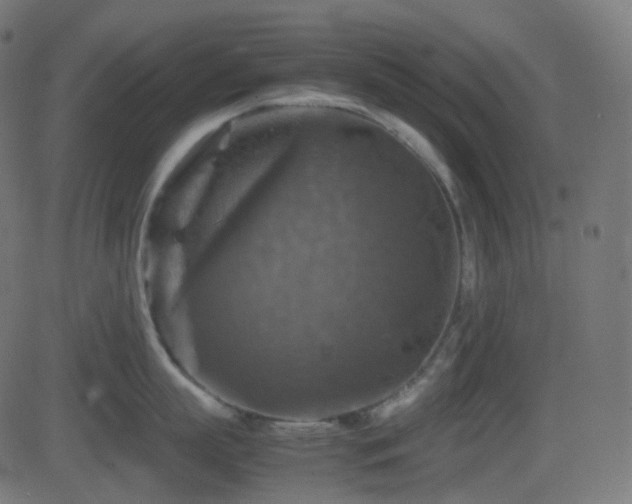 X0000081470863200701121417