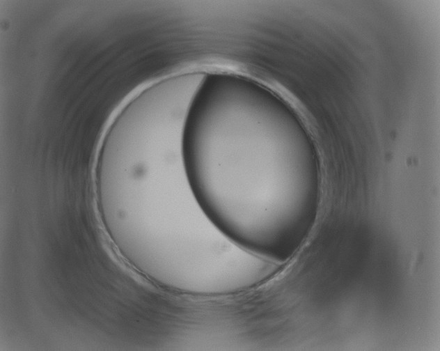 X0000081470864200701121417