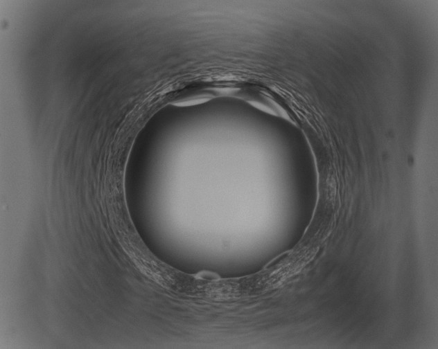 X0000081470865200701121417