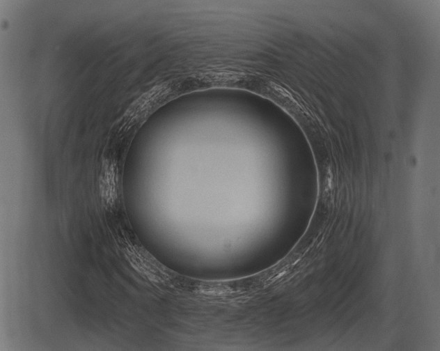 X0000081470866200701121417