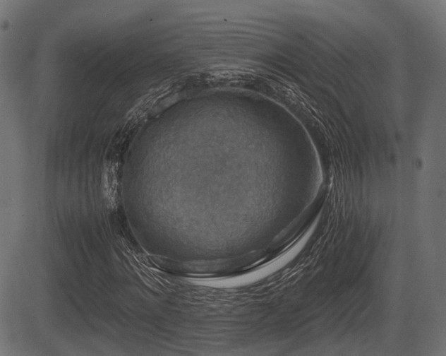 X0000081470868200701121417