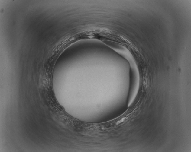 X0000081470869200701121416