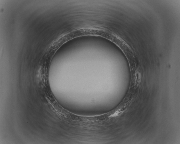 X0000081470870200701121416