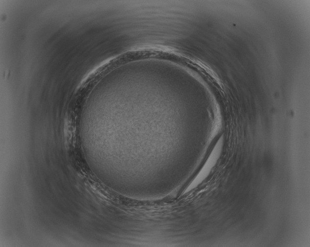 X0000081470872200701121416