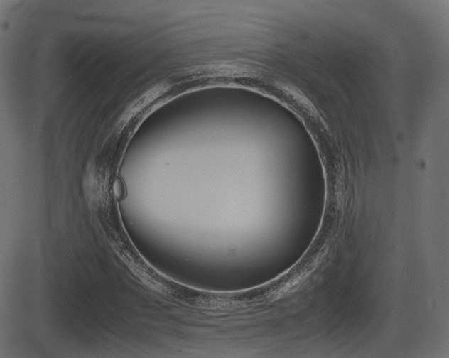 X0000081470873200701121416