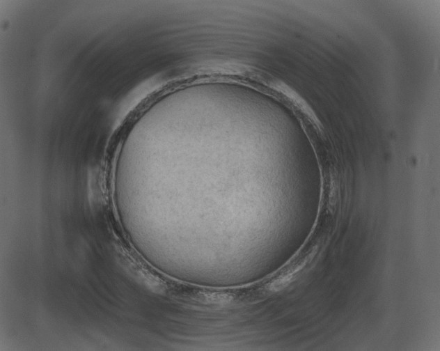X0000081470878200701121416