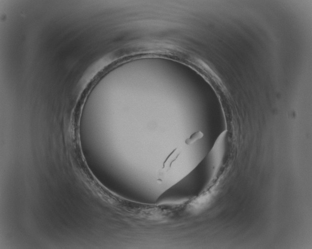 X0000081470883200701121416
