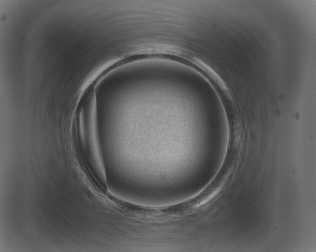 X0000081470885200701121416