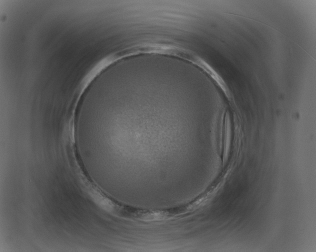 X0000081470891200701121416