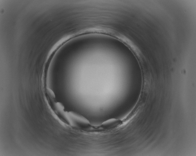 X0000081470902200701121416