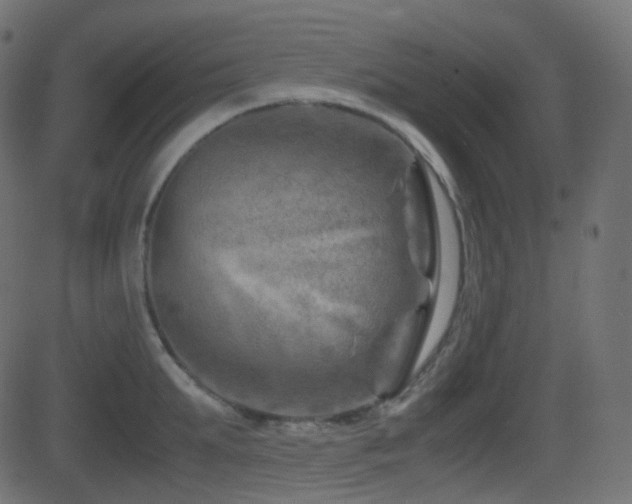 X0000081470903200701121416