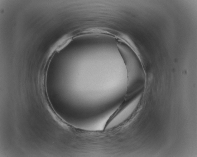 X0000081470909200701121416