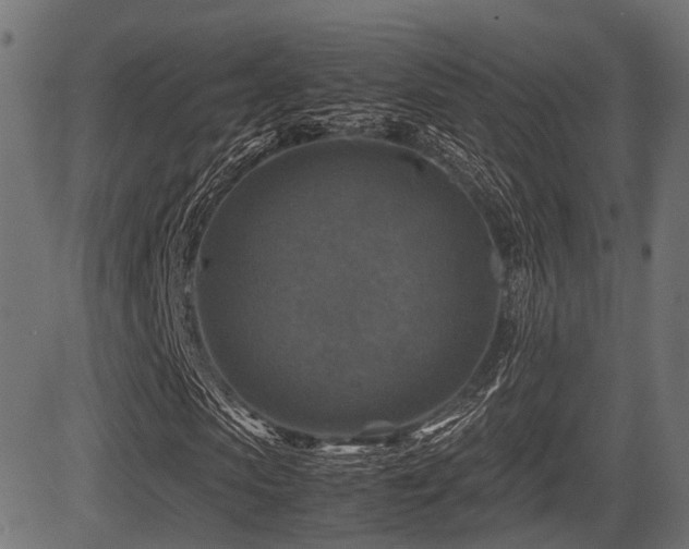 X0000081470913200701121415