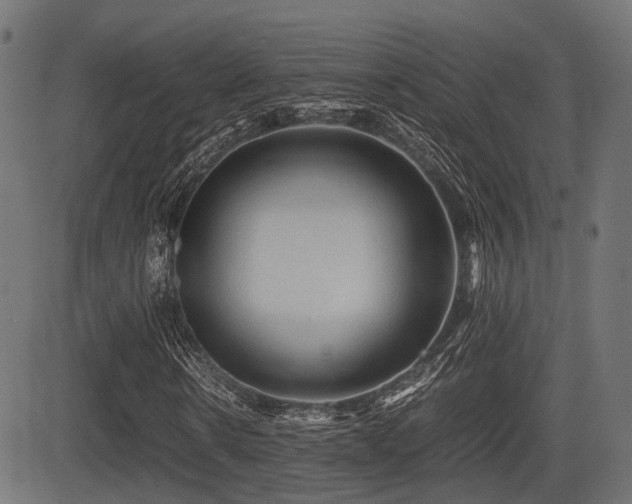 X0000081470914200701121415