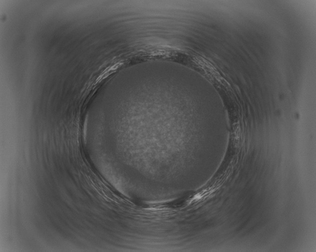 X0000081470916200701121415